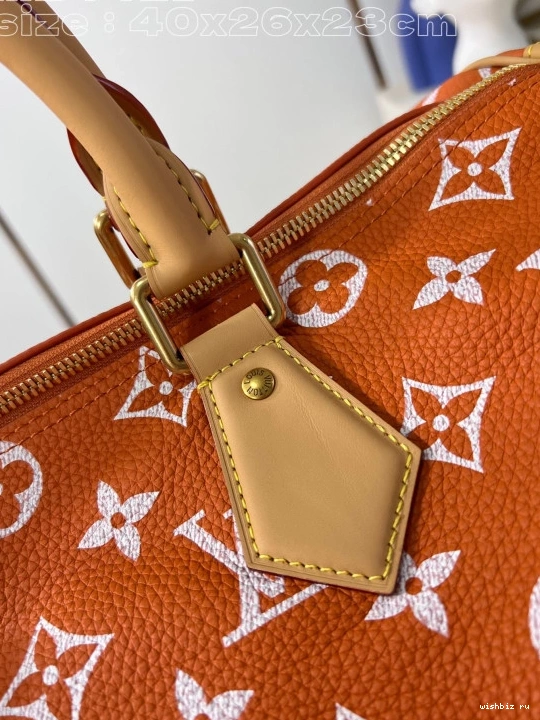 WIS SPEEDY Louis Vuitton 40 0307